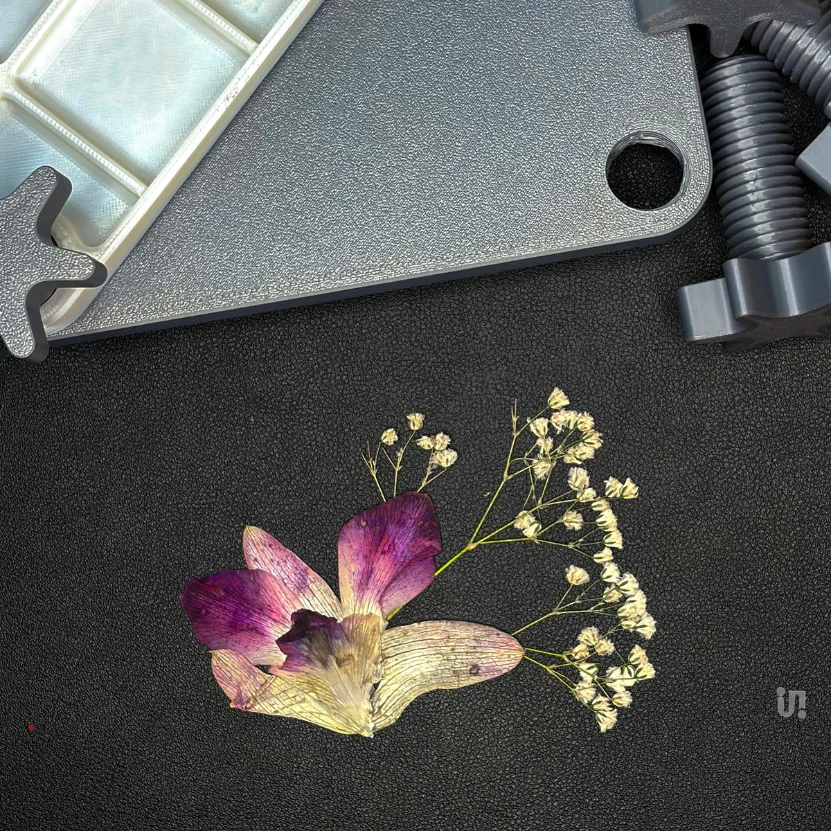 The Flower Keeper press beside a pressed orchid keepsake.